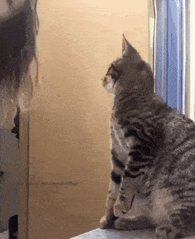 Daily Gifdump Daily Gifdump