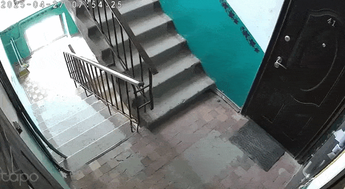 Daily Gifdump Daily Gifdump