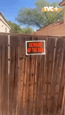 Daily Gifdump Daily Gifdump