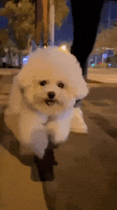 Daily Gifdump Daily Gifdump