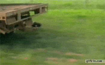 Daily Gifdump Daily Gifdump