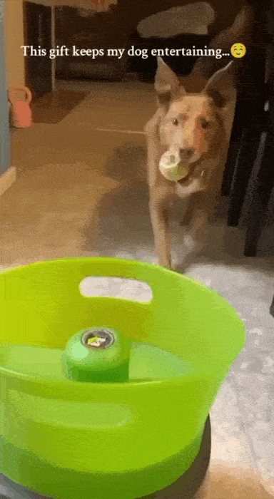 Daily Gifdump Daily Gifdump