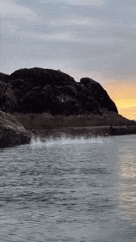 Daily Gifdump Daily Gifdump