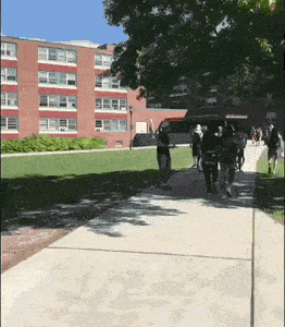 Daily Gifdump Daily Gifdump