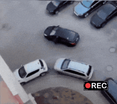 Daily Gifdump Daily Gifdump