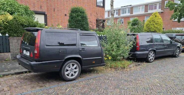 Morning Picdump Morning Picdump