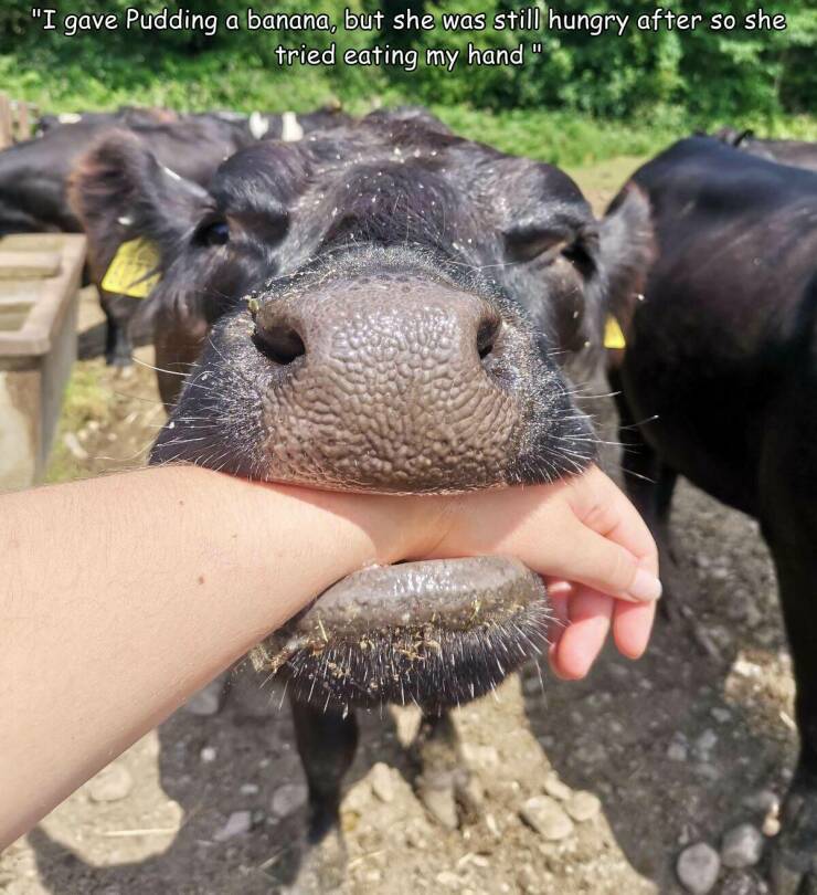 Morning Picdump Morning Picdump