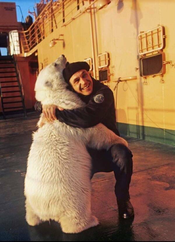 Pawsitively Hilarious Animal Moments