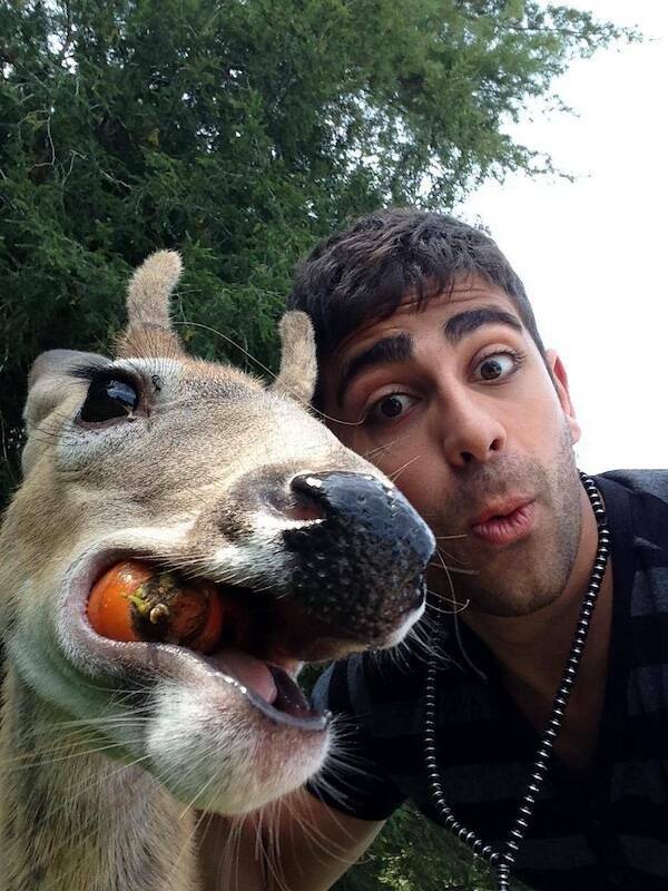 Pawsitively Hilarious Animal Moments