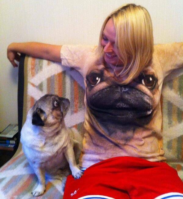 Pawsitively Hilarious Animal Moments Pawsitively Hilarious Animal Moments