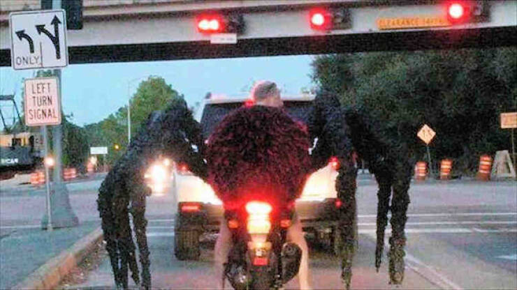 Someone’s Got Some Explaining to Do! Someone’s Got Some Explaining to Do!