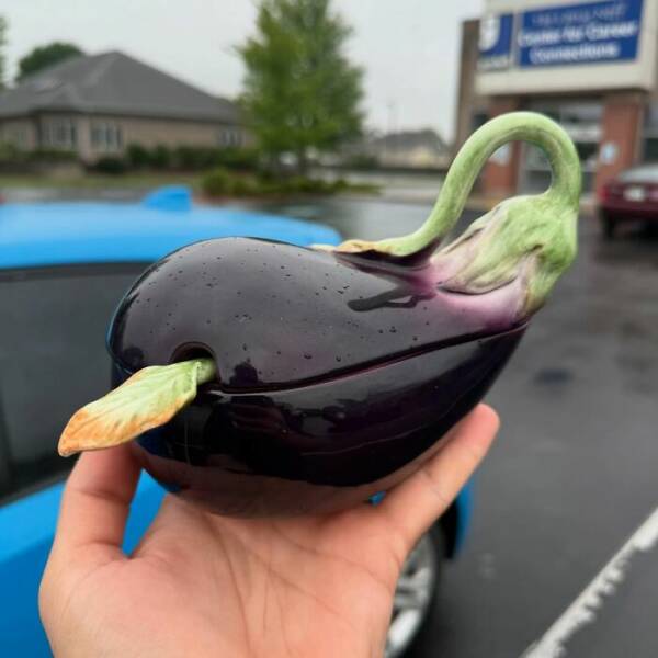 Unexpected Treasures Discovered in Thrift Stores