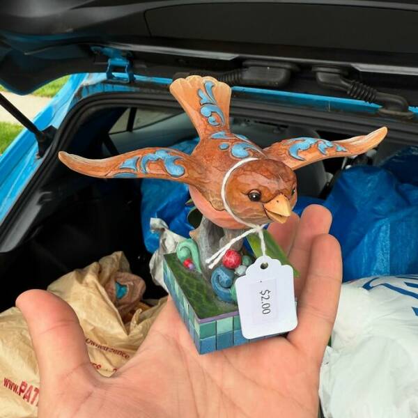 Unexpected Treasures Discovered in Thrift Stores Unexpected Treasures Discovered in Thrift Stores