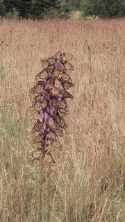 Daily Gifdump Daily Gifdump