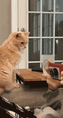 Daily Gifdump Daily Gifdump