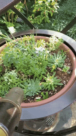 Daily Gifdump Daily Gifdump