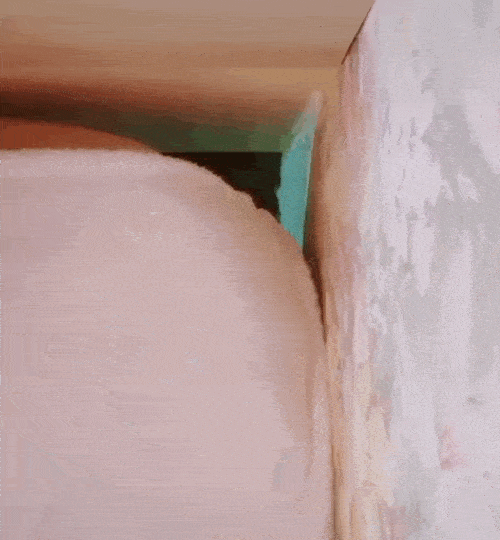 Daily Gifdump Daily Gifdump