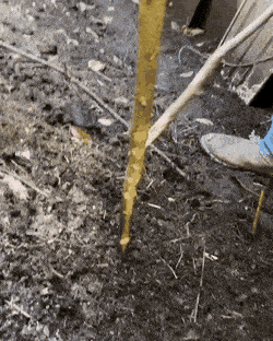 Daily Gifdump Daily Gifdump