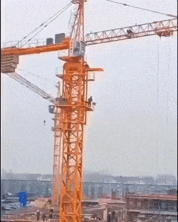 Daily Gifdump Daily Gifdump