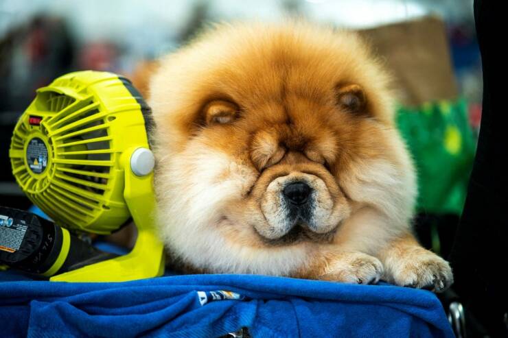 Daily Picdump