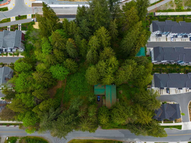 Daily Picdump Daily Picdump