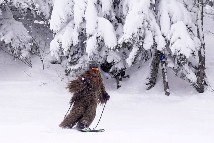 Daily Picdump Daily Picdump