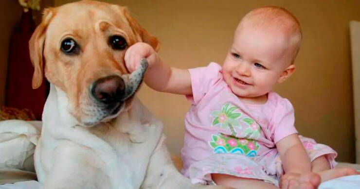 Daily Picdump Daily Picdump