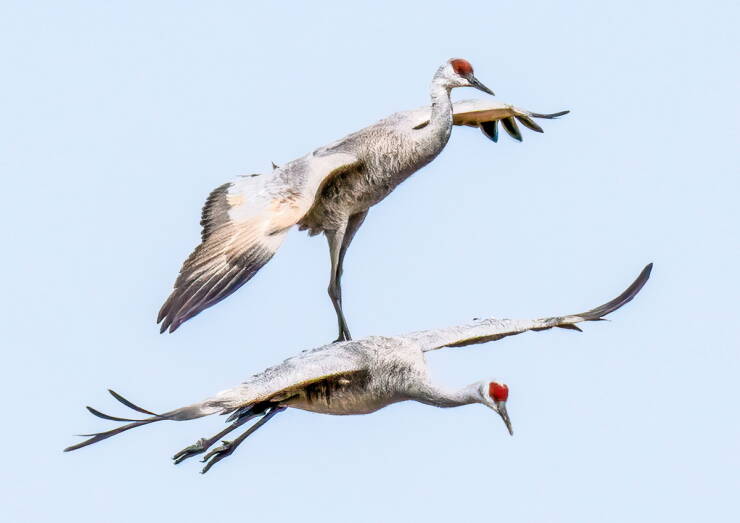 Daily Picdump Daily Picdump