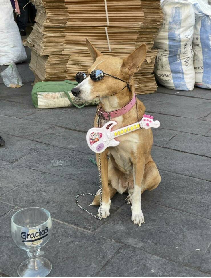Daily Picdump