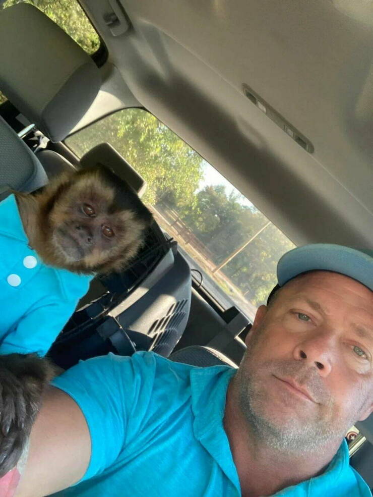 Daily Picdump Daily Picdump