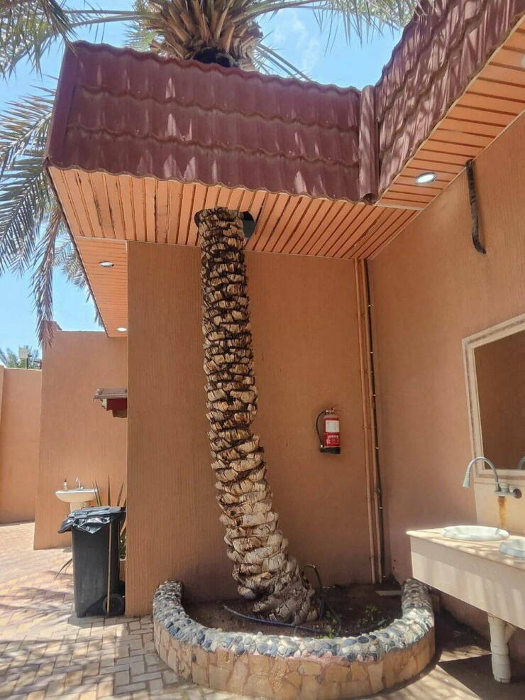 Daily Picdump Daily Picdump