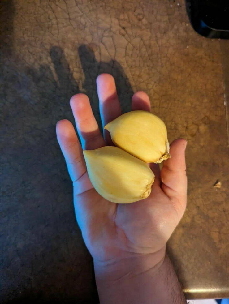 Daily Picdump Daily Picdump