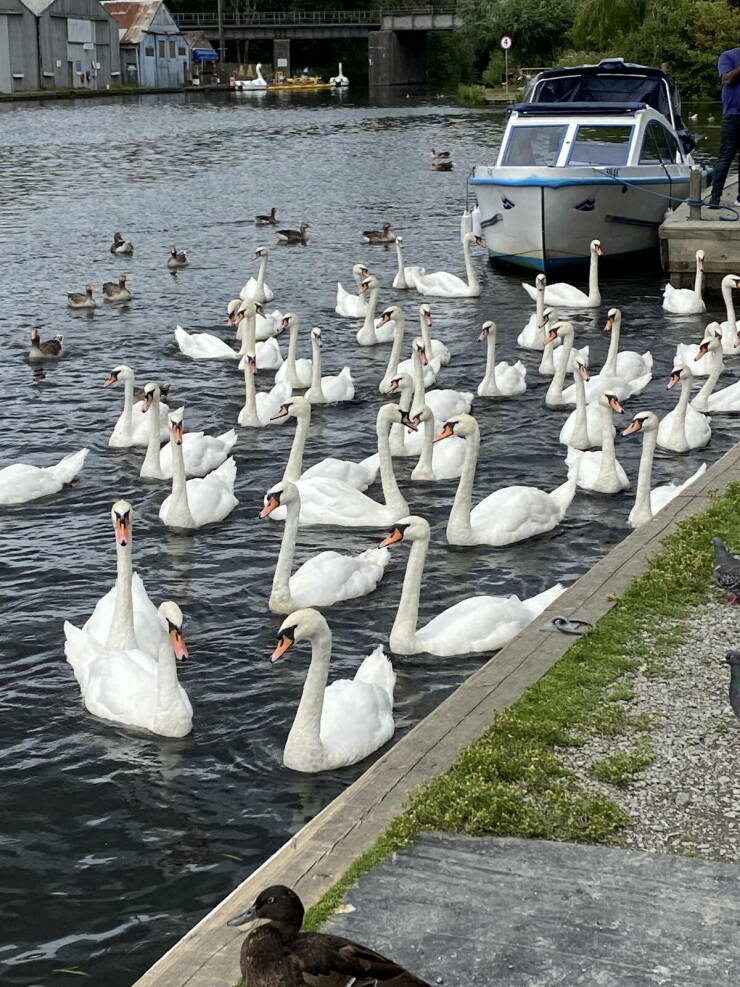 Daily Picdump Daily Picdump