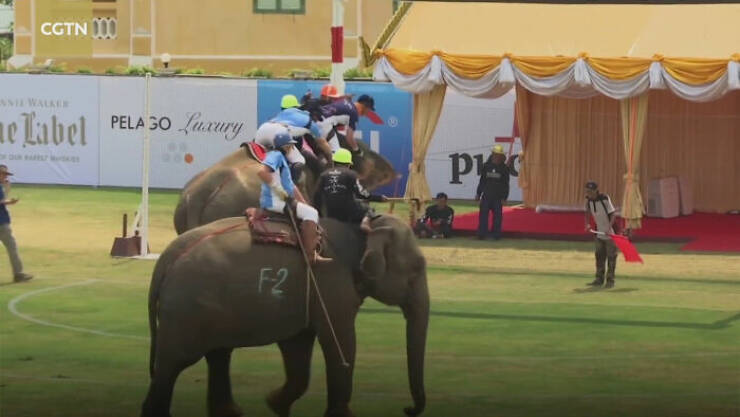 From Quirky Customs to Crazy Stats: Country Facts Revealed