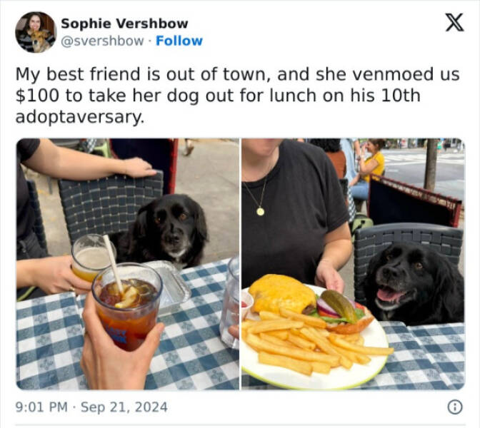 Furry Friends Who Instantly Boost Your Mood