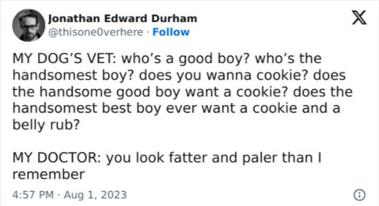 Furry Friends Who Instantly Boost Your Mood