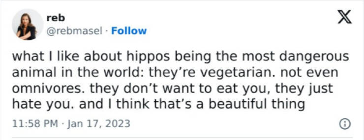 Furry Friends Who Instantly Boost Your Mood