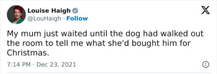 Furry Friends Who Instantly Boost Your Mood