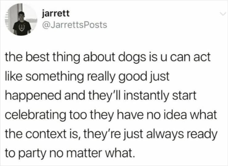 Furry Friends Who Instantly Boost Your Mood