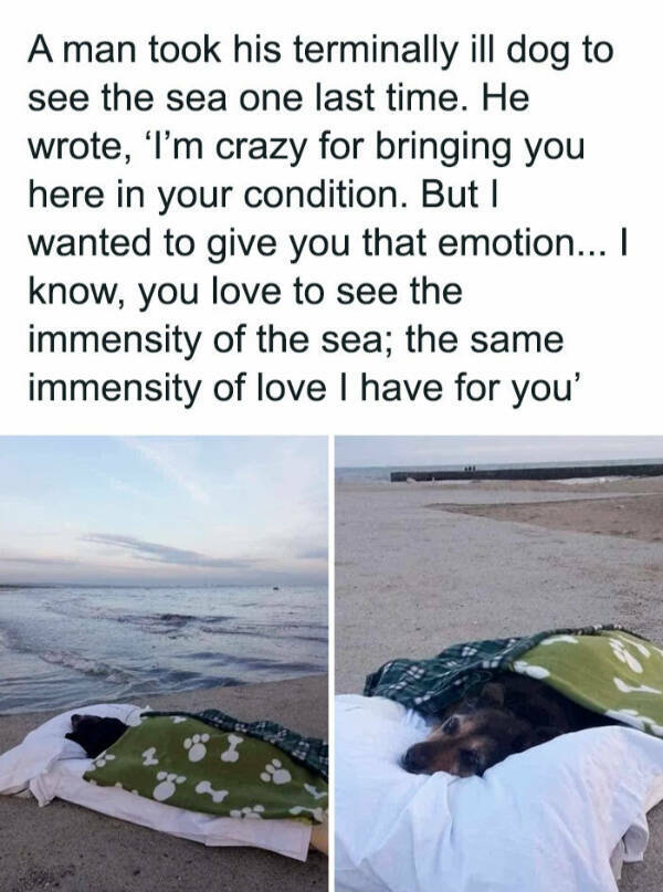 Furry Friends Who Instantly Boost Your Mood