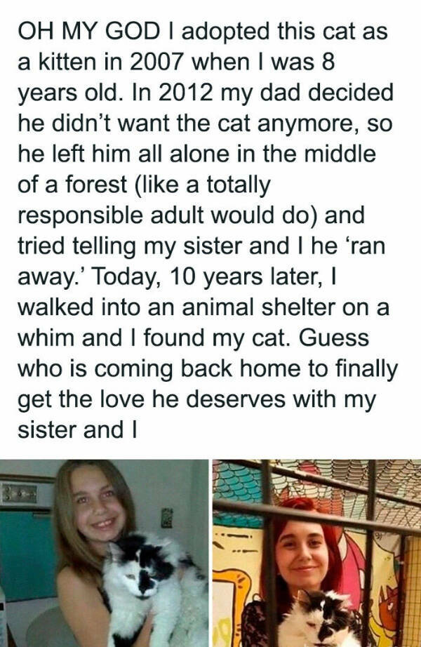 Furry Friends Who Instantly Boost Your Mood