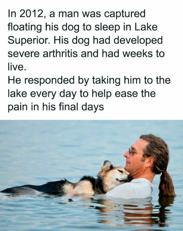 Furry Friends Who Instantly Boost Your Mood