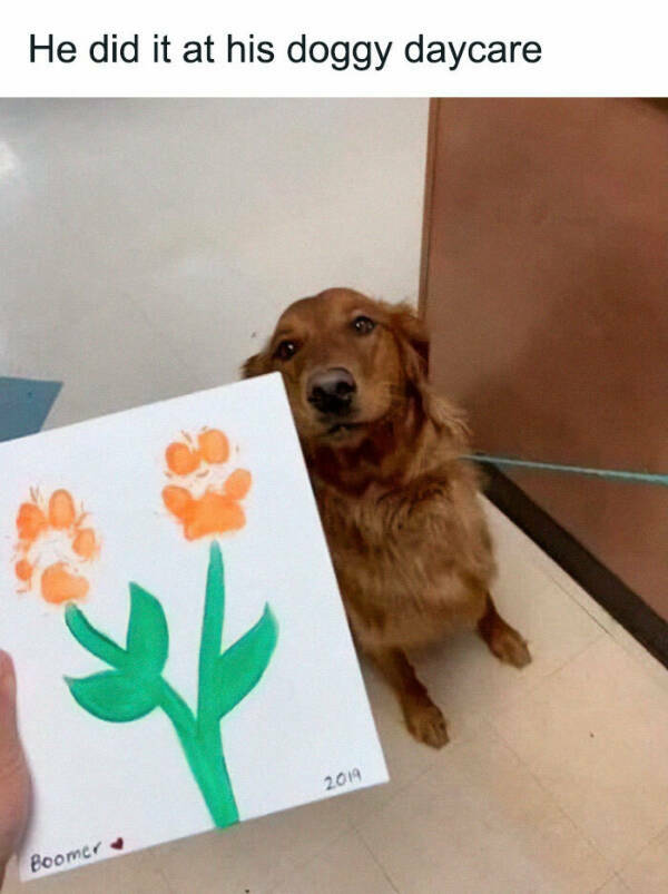 Furry Friends Who Instantly Boost Your Mood