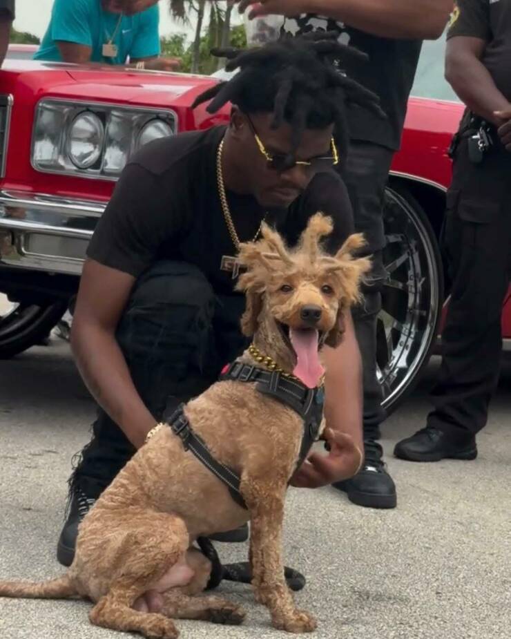 Morning Picdump Morning Picdump