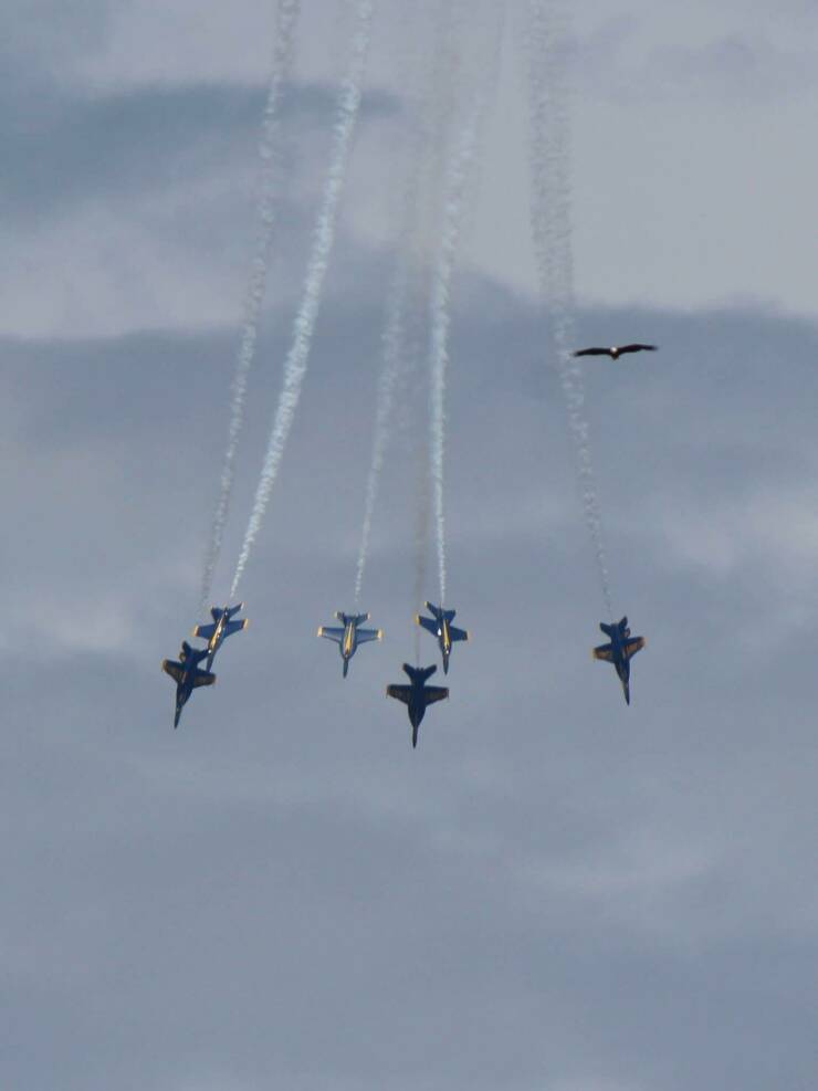 Morning Picdump Morning Picdump