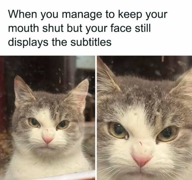 Random Meme Madness You Didn’t Know You Needed Random Meme Madness You Didn’t Know You Needed