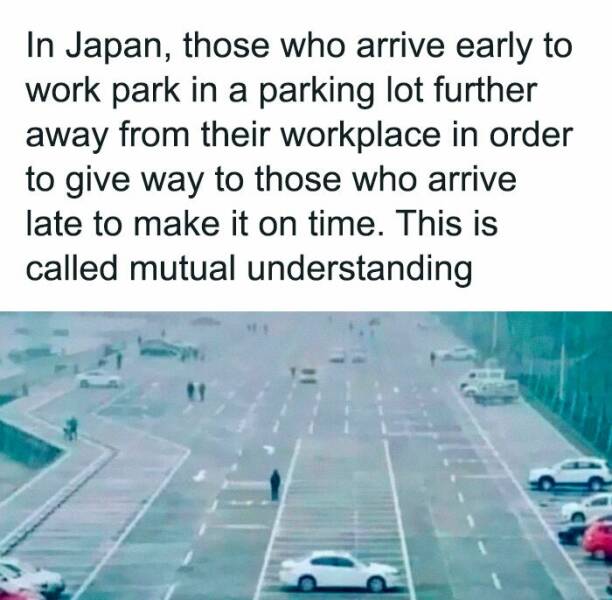 Random Meme Madness You Didn’t Know You Needed Random Meme Madness You Didn’t Know You Needed