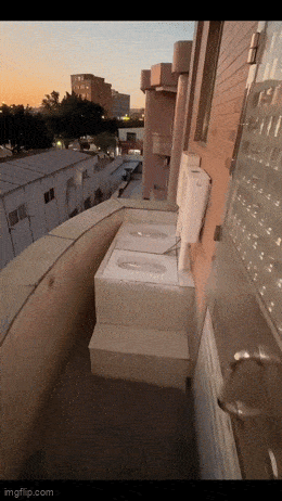 Daily Gifdump Daily Gifdump