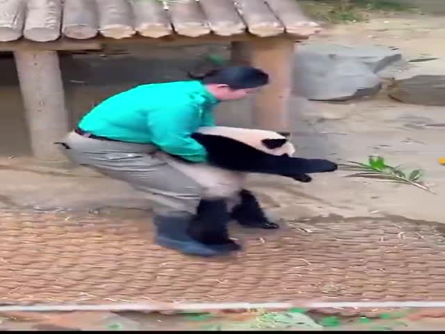 When You Force Yourself To Go To Work In The Morning