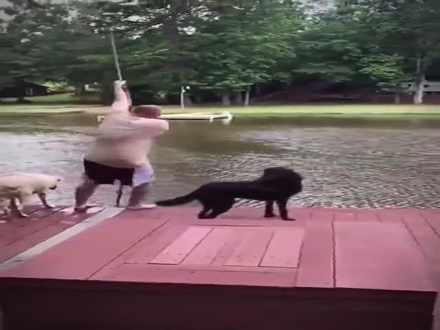 Best Friends